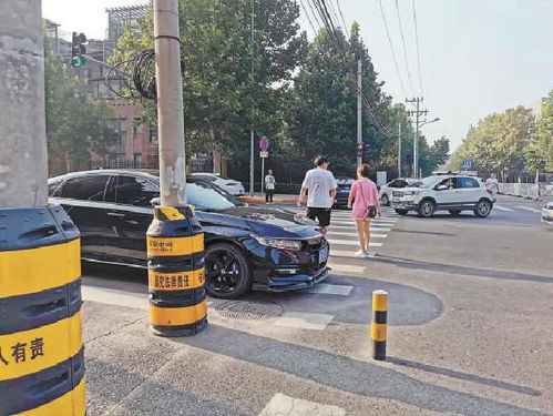 強化斑馬線權威 完善交通設施，守護生命安全