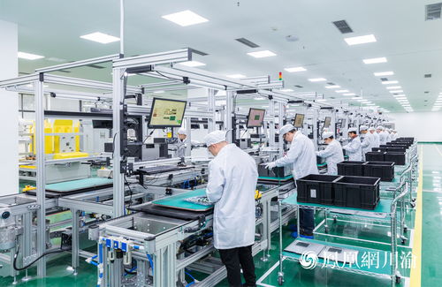 西計公司搶抓國家信息安全機遇 打造西部地區最大國產化計算機生產基地